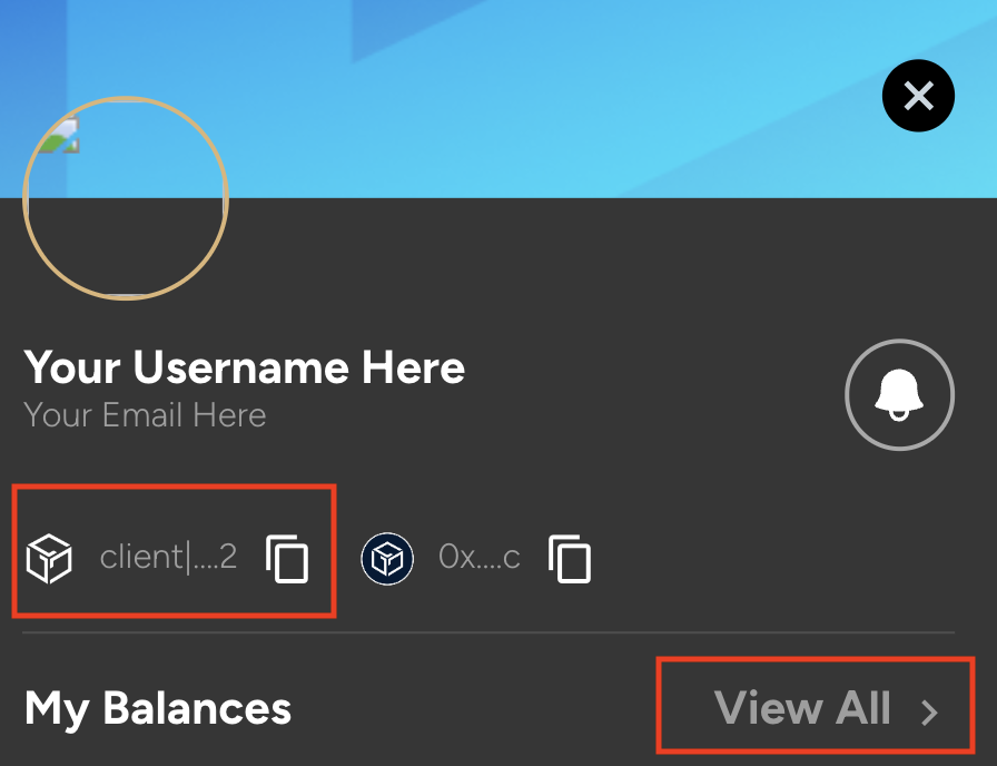 Screenshot 2024-03-11 at 10.21.18 AM.png